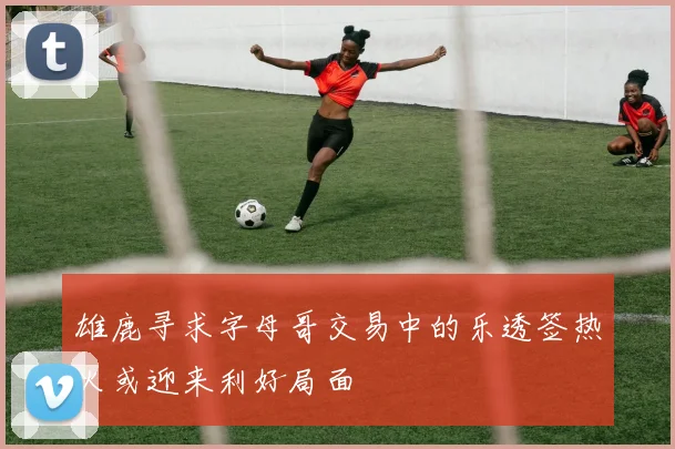 雄鹿寻求字母哥交易中的乐透签热火或迎来利好局面