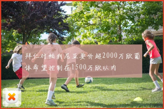 拜仁对帕利尼亚要价超2000万欧葡体希望控制在1500万欧以内
